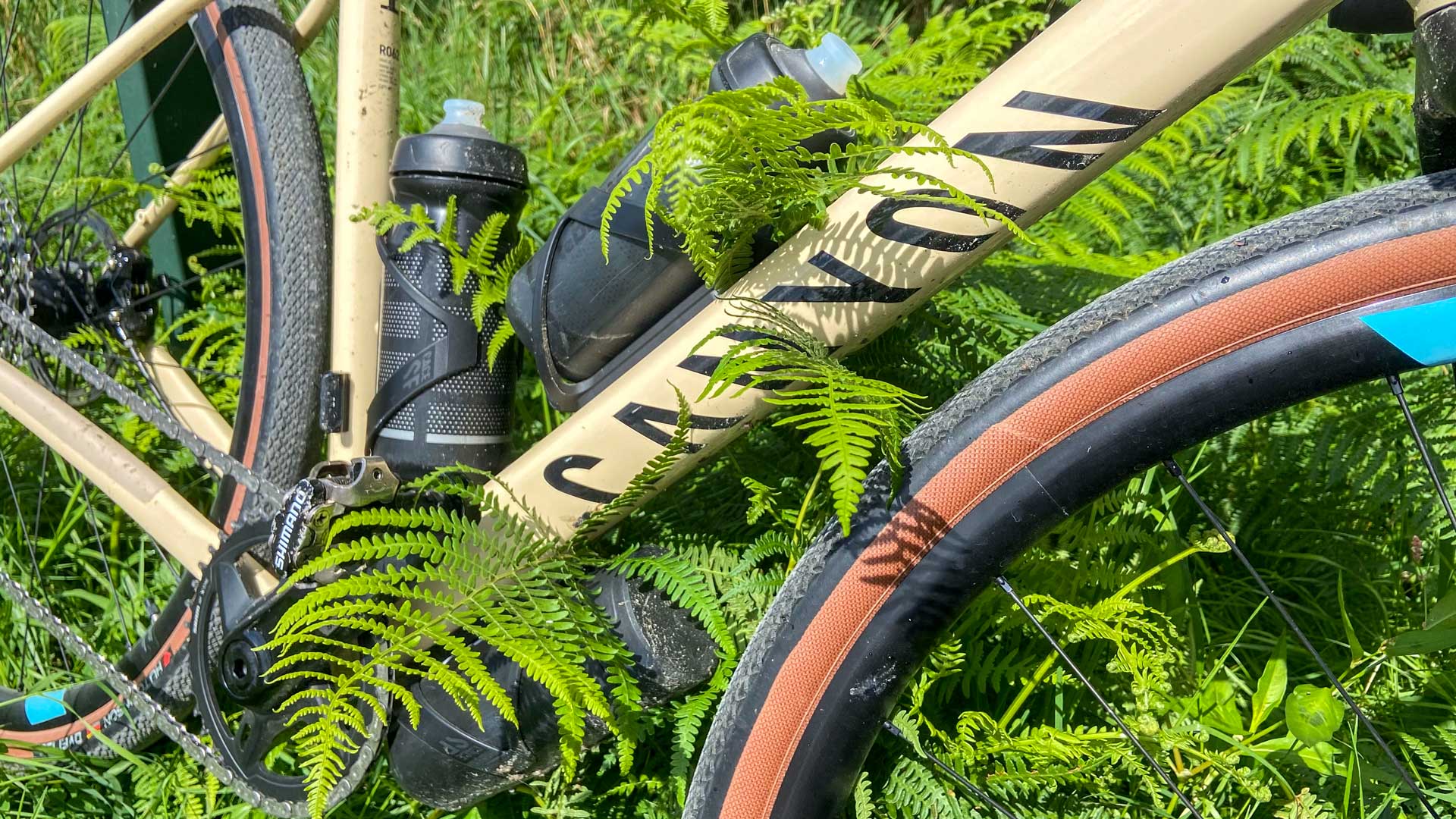 Gros plan sur le Canyon Grail 7 eTap au milieu des fourgères