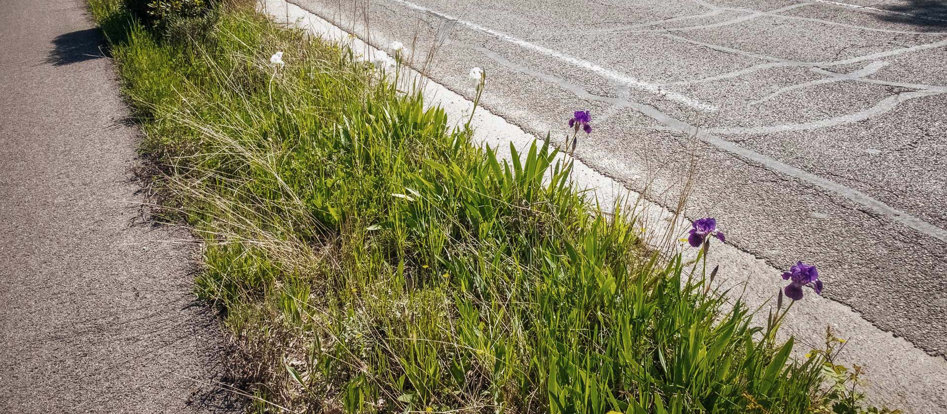 Boire le calice jusqu'à la lie