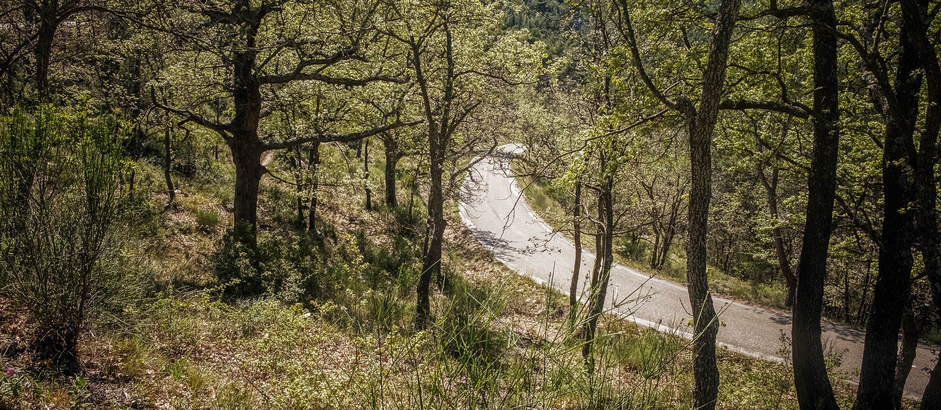 Boire le calice jusqu'à la lie