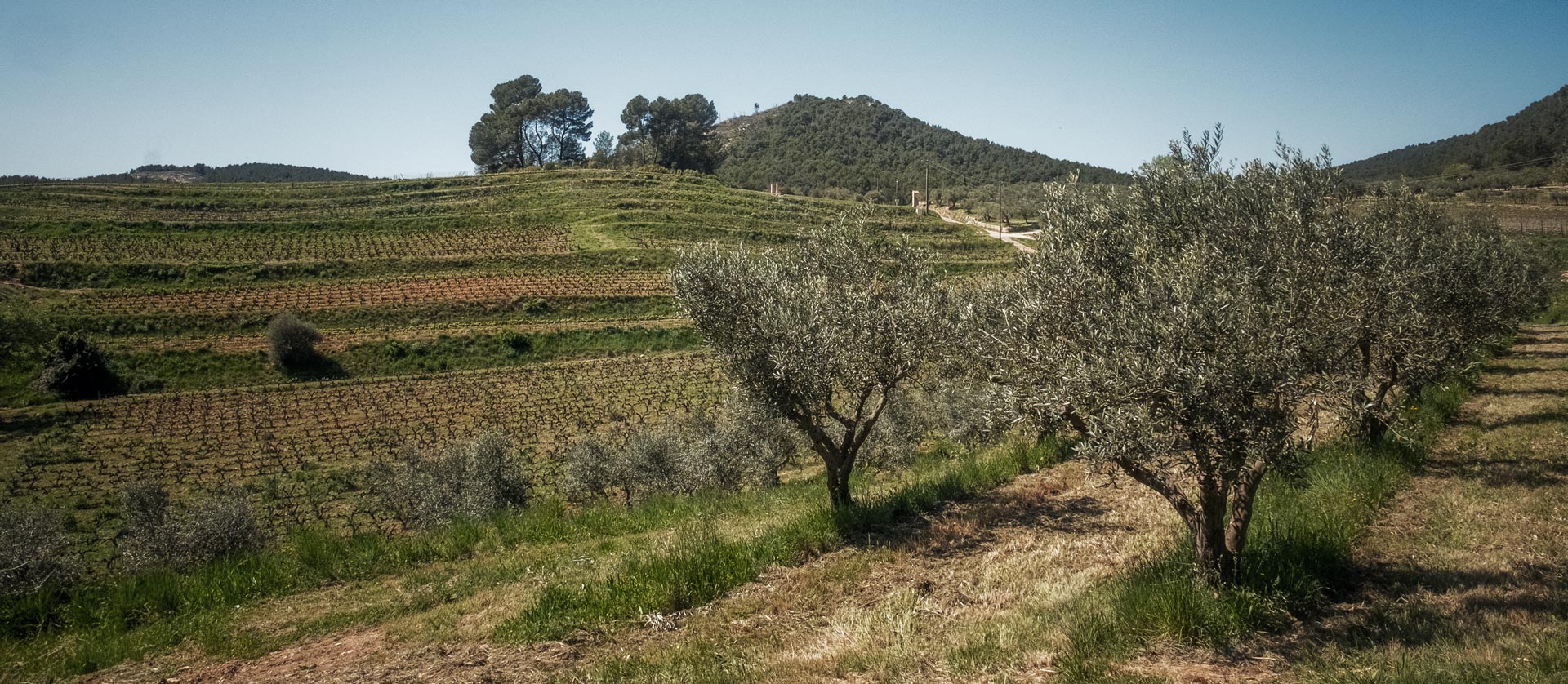 Boire le calice jusqu'à la lie