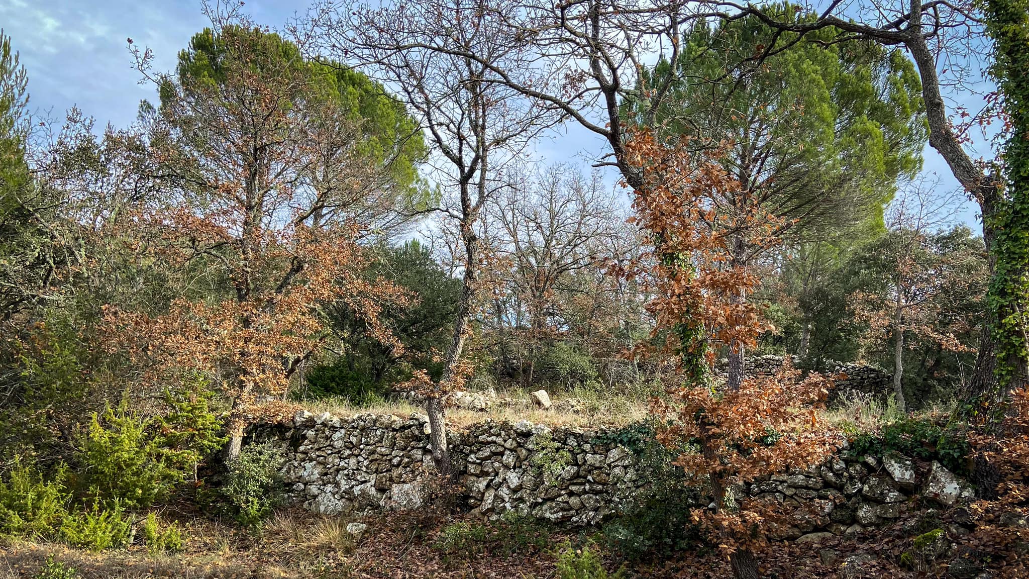 Col du grand Sambuc